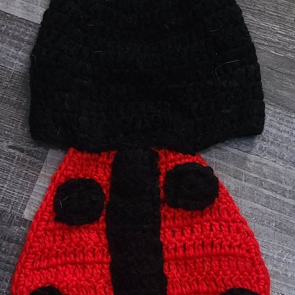 Newborn Photo Outfit - Ladybug - Picture 1 of 2